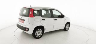FIAT Panda usata 17
