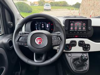 FIAT Panda Cross usata, con Fendinebbia