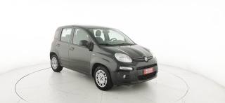 FIAT Panda usata 33