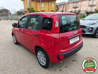 FIAT Panda usata, con Antifurto