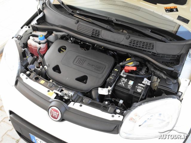 FIAT Panda usata 41