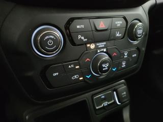 JEEP Renegade usata, con Bracciolo