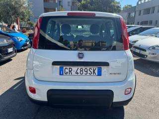 FIAT Panda usata, con Antifurto