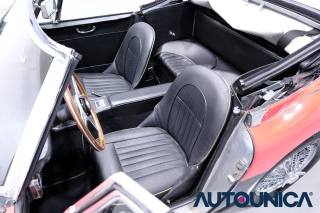 AUSTIN Healey usata 29