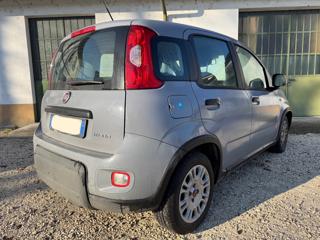 FIAT Panda usata, con Airbag Passeggero