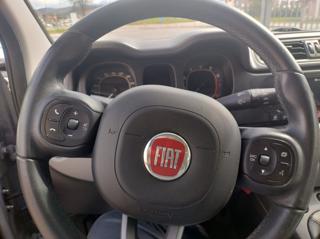 FIAT Panda usata, con Controllo trazione