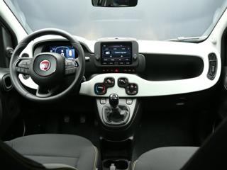 FIAT Panda Cross usata, con Fendinebbia