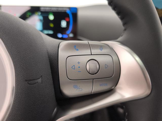 BYD Dolphin Surf usata, con Servosterzo
