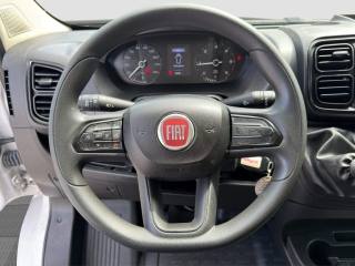 FIAT Ducato usata 10