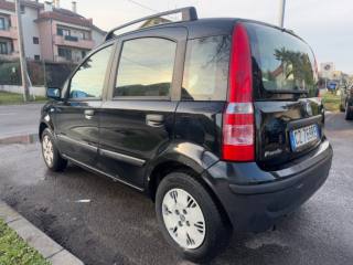 FIAT Panda usata 3