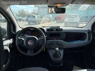 FIAT Panda usata, con Start/Stop Automatico