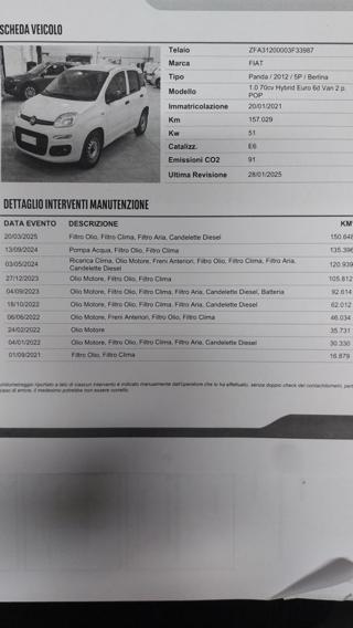 FIAT Panda usata 24