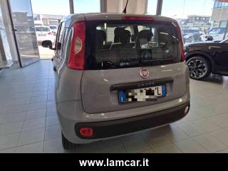 FIAT Panda usata, con Climatizzatore