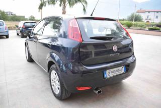 FIAT Punto usata 17