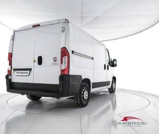 FIAT Ducato usata 2