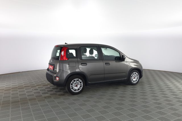 FIAT Panda usata 2