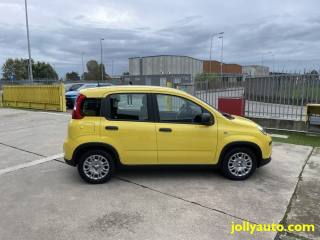 FIAT Panda usata, con Alzacristalli elettrici