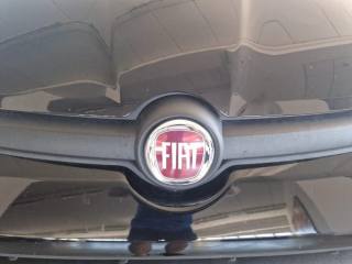 FIAT Panda usata 19