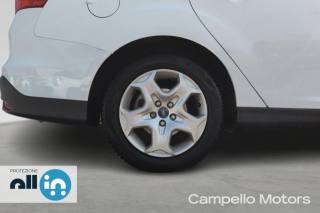 FORD Focus usata 16