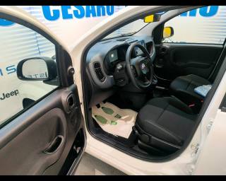 FIAT New Panda usata, con Chiusura centralizzata