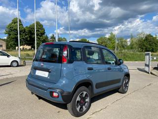 FIAT Panda Cross usata 27