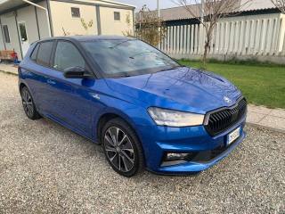 SKODA Fabia usata, con Airbag laterali