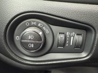 JEEP Renegade usata, con Cruise Control