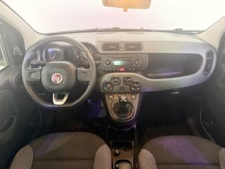 FIAT Panda usata 12