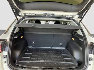 JEEP Compass usata 14