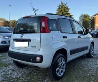FIAT Panda usata, con Climatizzatore