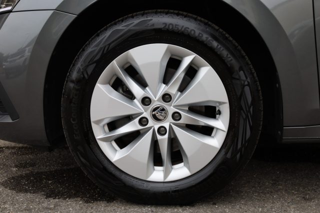 SKODA Octavia usata 166