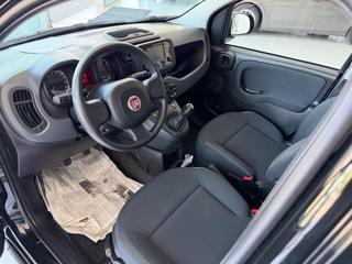 FIAT Panda usata, con Servosterzo