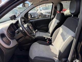 FIAT Panda usata 11