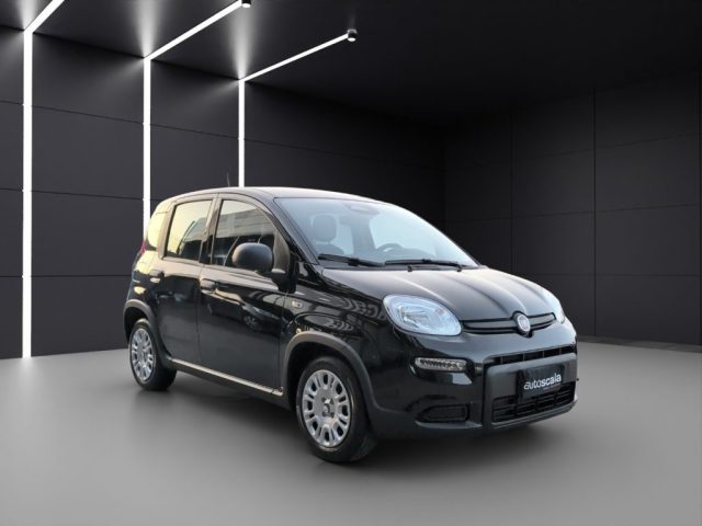 FIAT Panda usata, con Controllo trazione