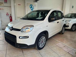 FIAT Panda usata, con Airbag