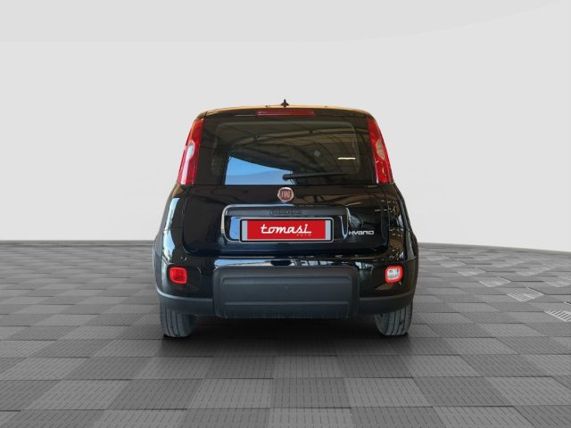 FIAT Panda usata 4