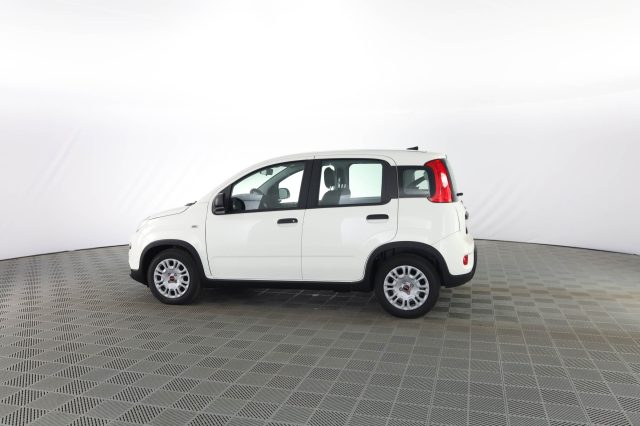 FIAT Panda usata 5