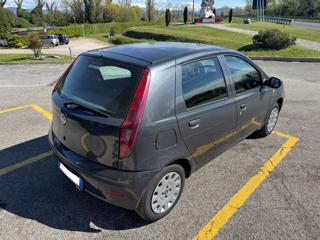 FIAT Punto usata, con Boardcomputer