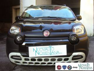 FIAT Panda Cross usata, con Alzacristalli elettrici