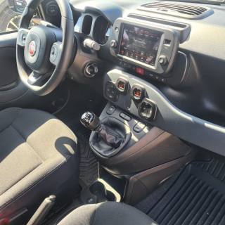 FIAT Panda Cross usata, con Specchietti laterali elettrici