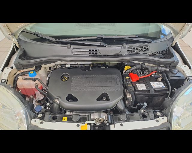 FIAT New Panda usata 23