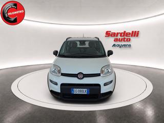 FIAT Panda usata, con Antifurto