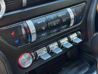 FORD Mustang usata, con Fendinebbia
