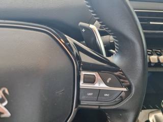 PEUGEOT 3008 usata, con Cruise Control