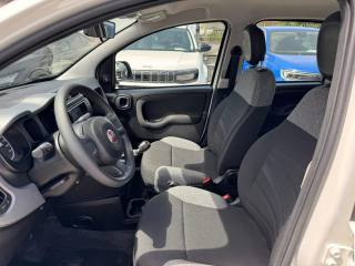 FIAT Panda usata, con Climatizzatore
