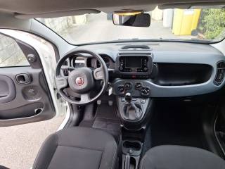 FIAT Panda usata, con Airbag testa