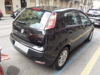FIAT Punto Evo usata, con Airbag Passeggero