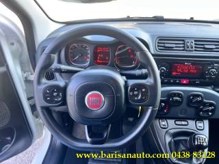 FIAT Panda usata, con Fendinebbia