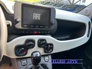 FIAT Pandina usata, con Vetri oscurati