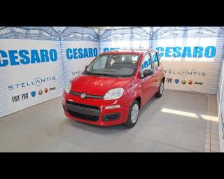 FIAT New Panda usata, con Airbag laterali